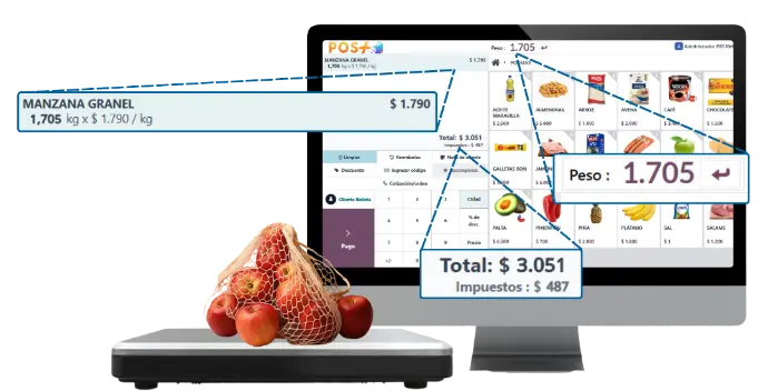 Conexión directa del punto de venta con balanza Pos Punto de venta Conexión Balanza ERP