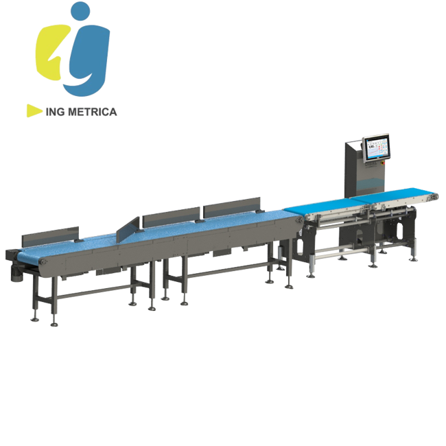Clasificadora Automática por Peso GW-5000 Higienizables